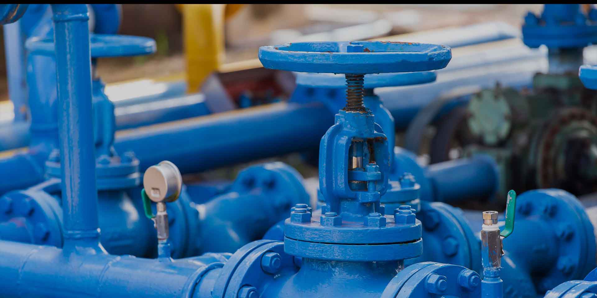 चांगशुई टेक्नोलॉजी ग्रुप कंपनी लिमिटेड