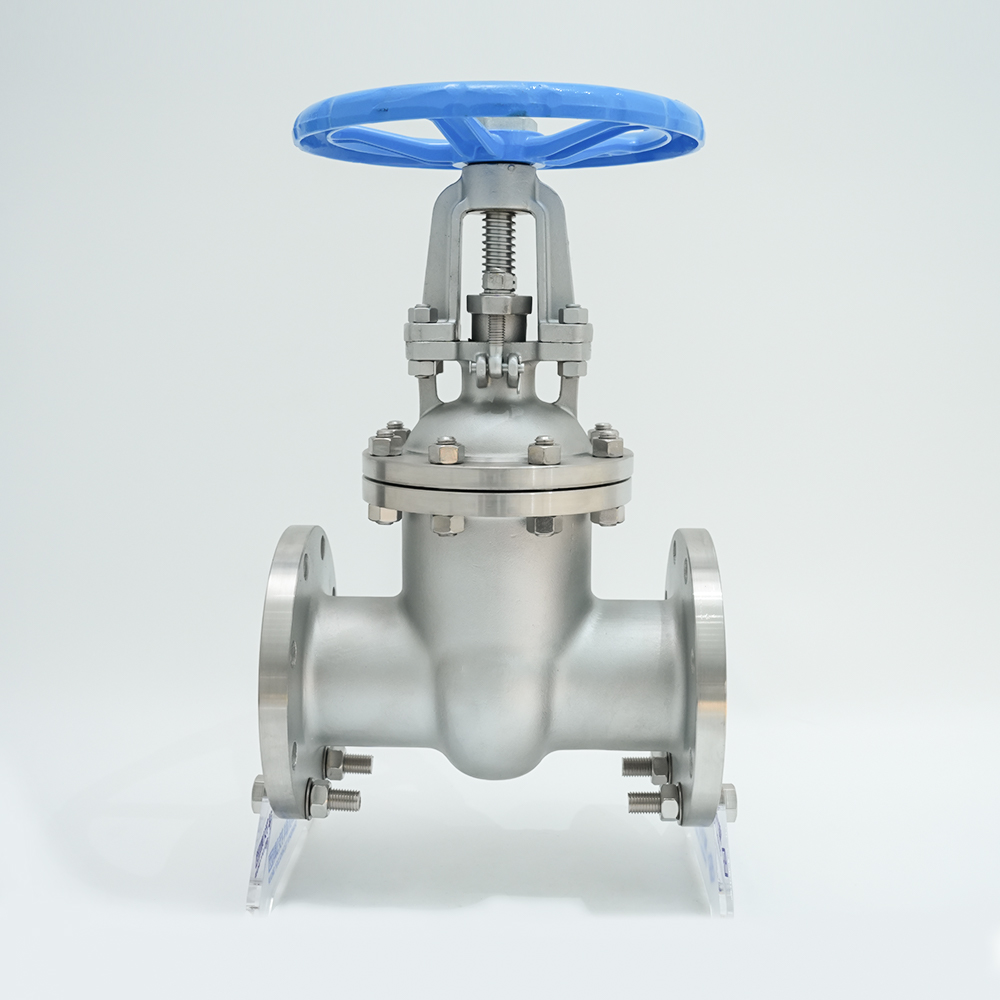 स्टेनलेस स्टील निकला हुआ किनारा गेट वाल्व Z41W-16P