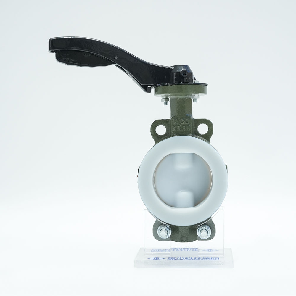 चांगशुई टेक्नोलॉजी ग्रुप कंपनी लिमिटेड