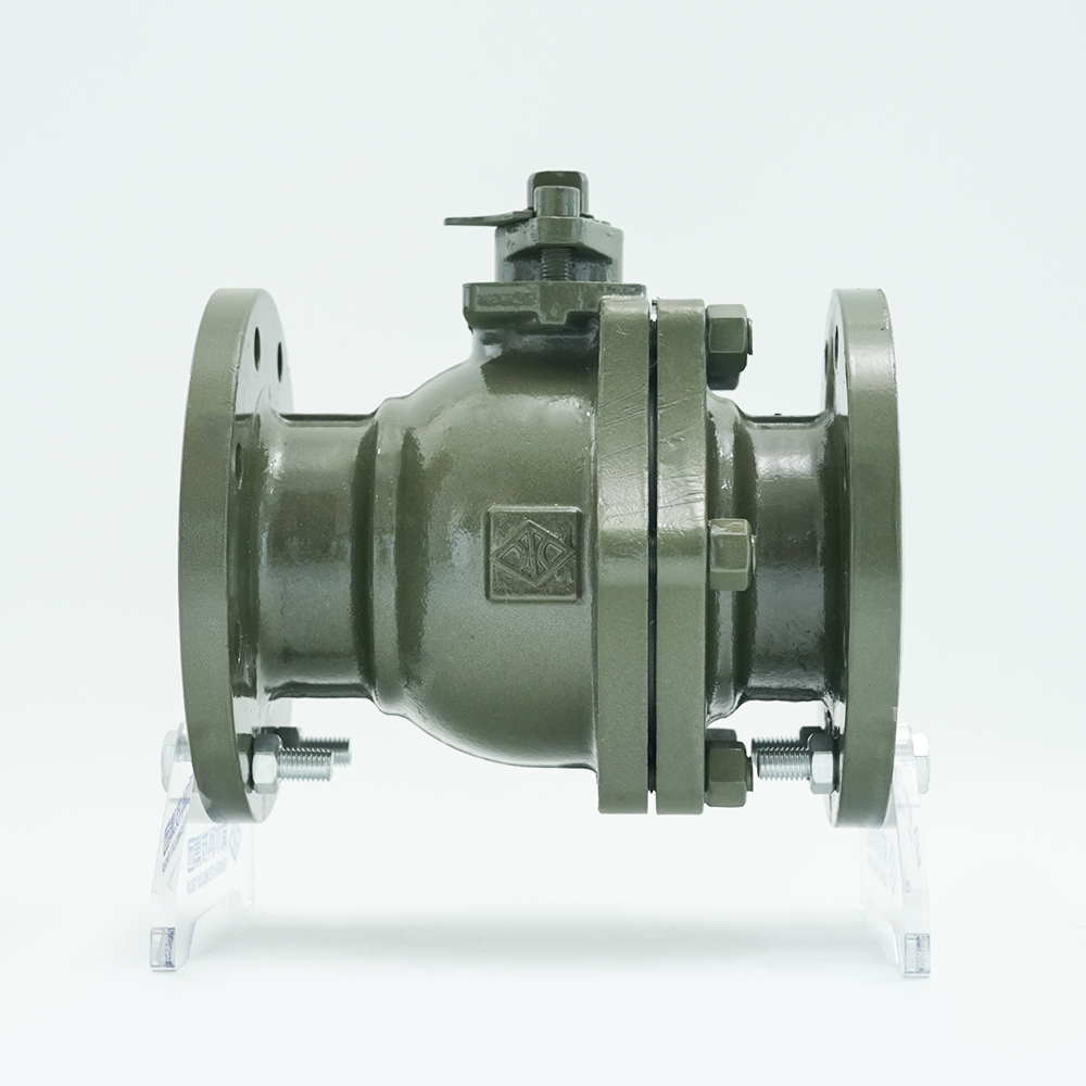चांगशुई टेक्नोलॉजी ग्रुप कंपनी लिमिटेड
