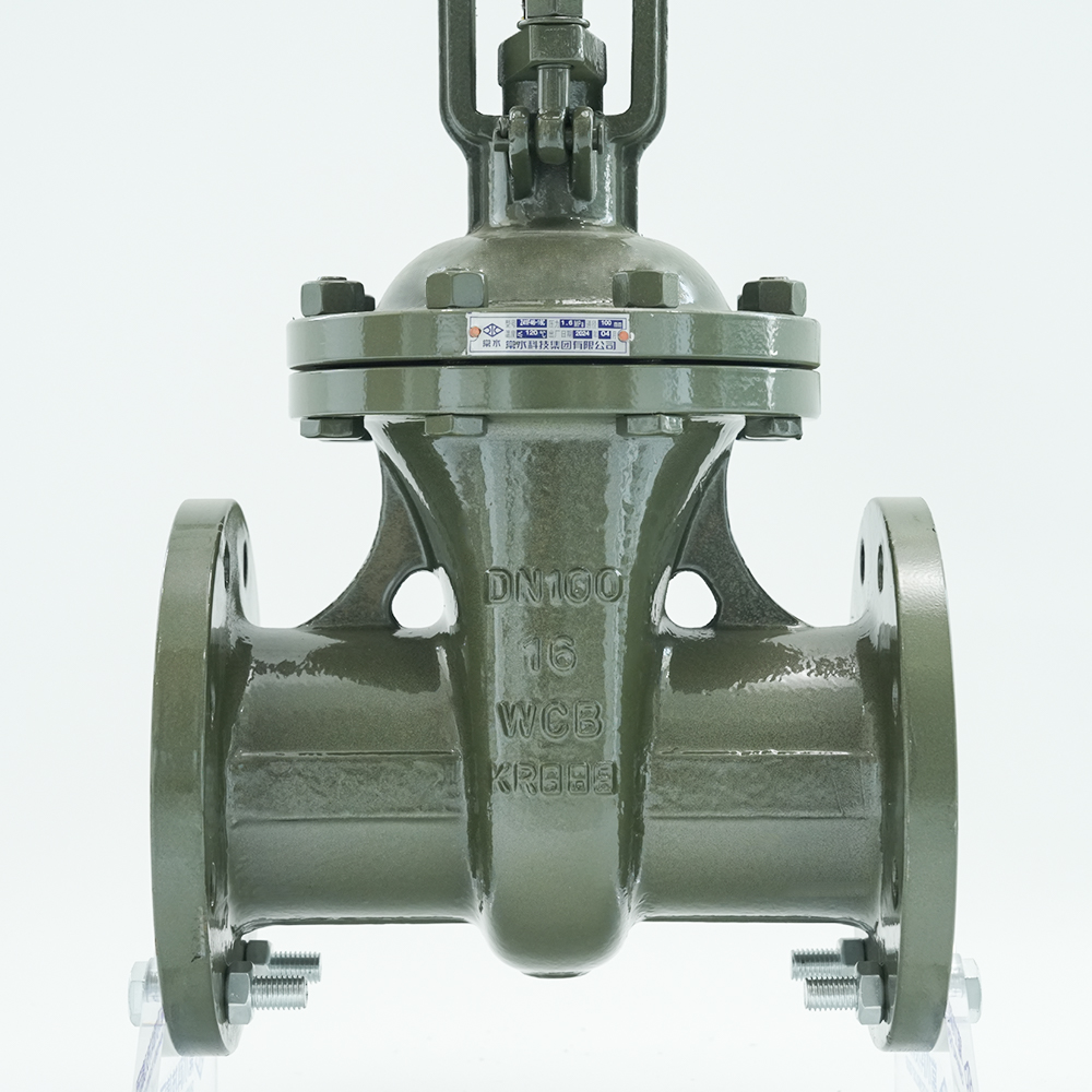 चांगशुई टेक्नोलॉजी ग्रुप कंपनी लिमिटेड