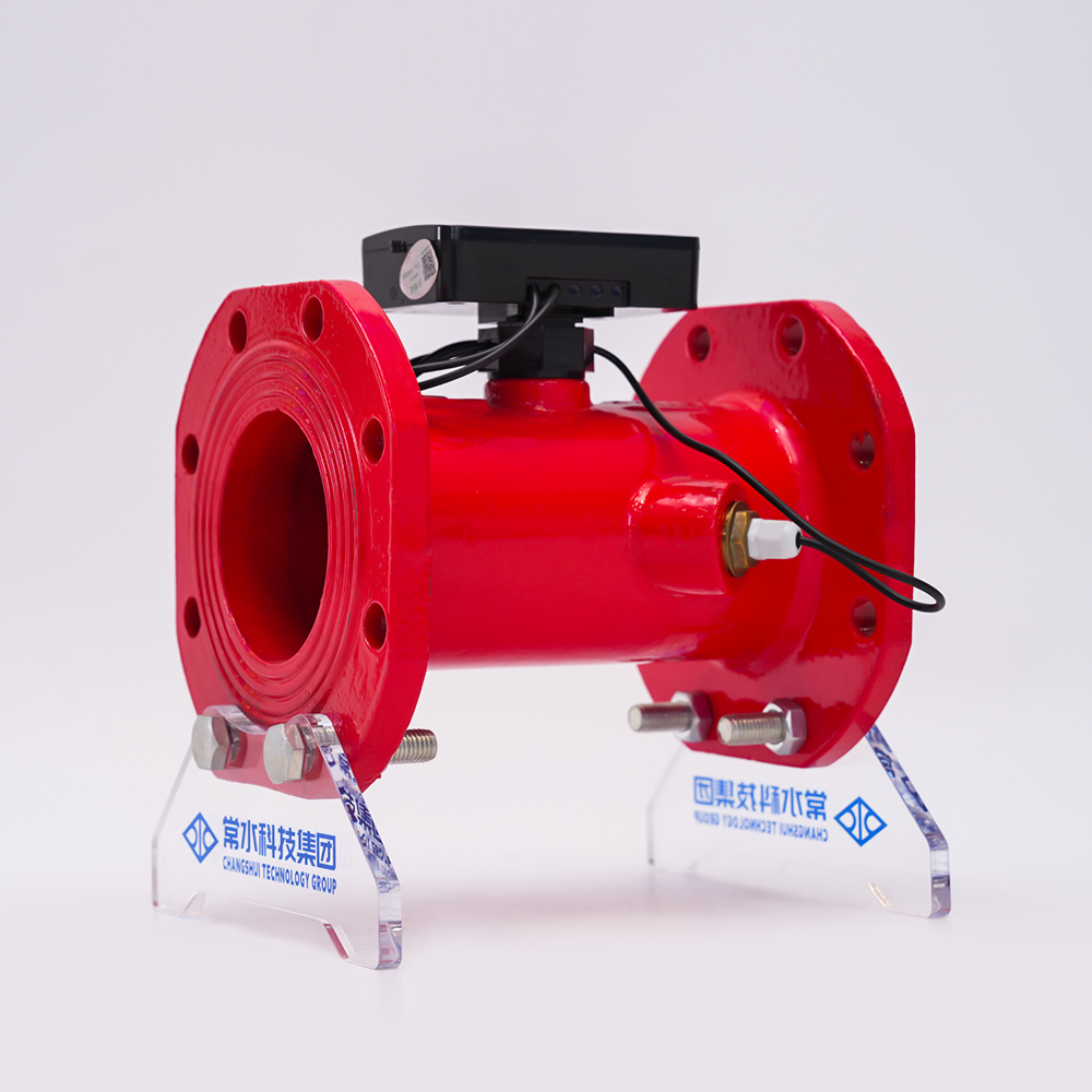 चांगशुई टेक्नोलॉजी ग्रुप कंपनी लिमिटेड