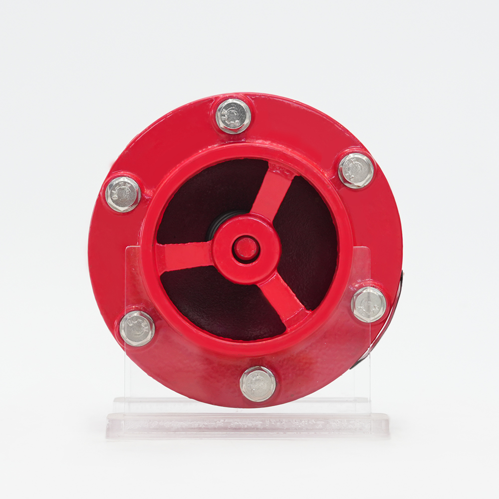 ग्रूव्ड साइलेंसर चेक वाल्व GHC41X-16Q