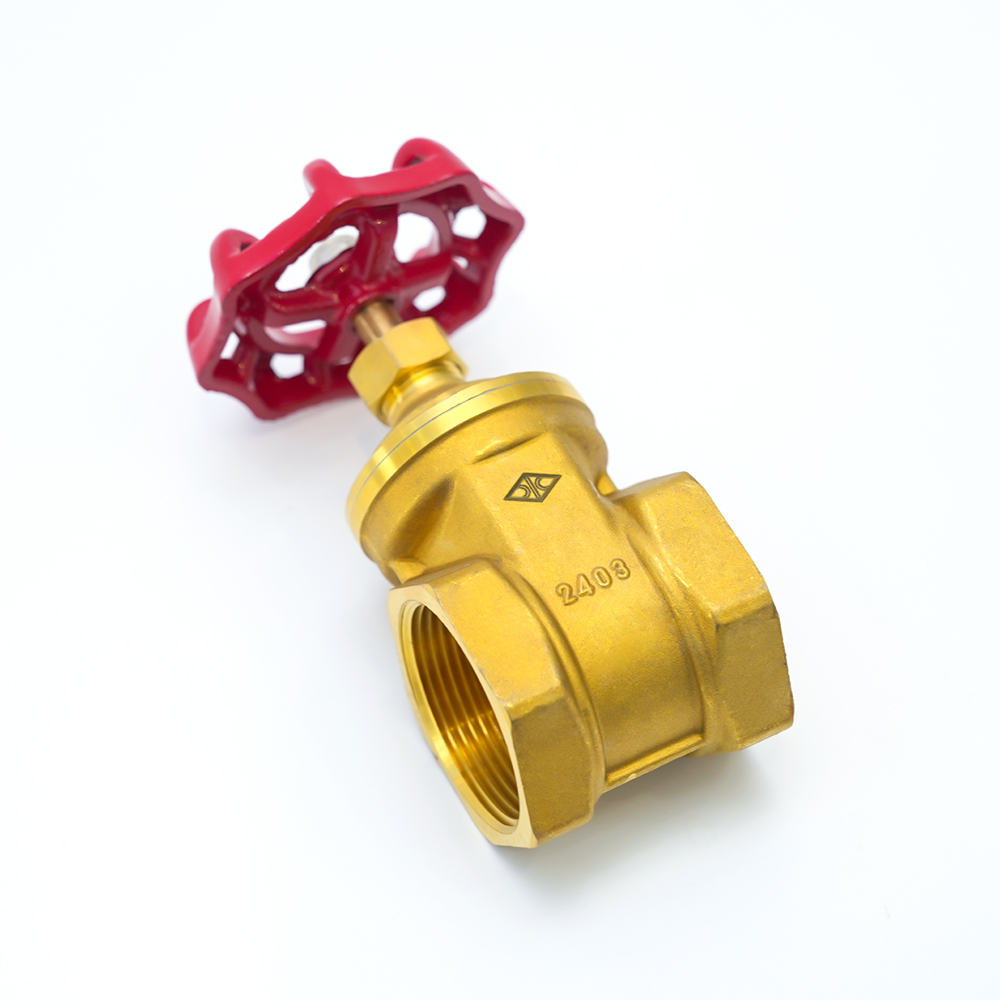 चांगशुई टेक्नोलॉजी ग्रुप कंपनी लिमिटेड