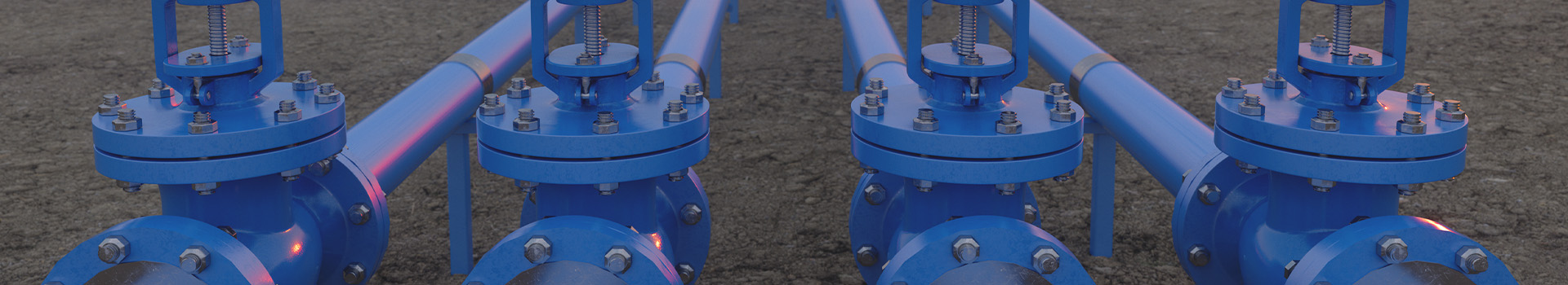 चांगशुई टेक्नोलॉजी ग्रुप कंपनी लिमिटेड