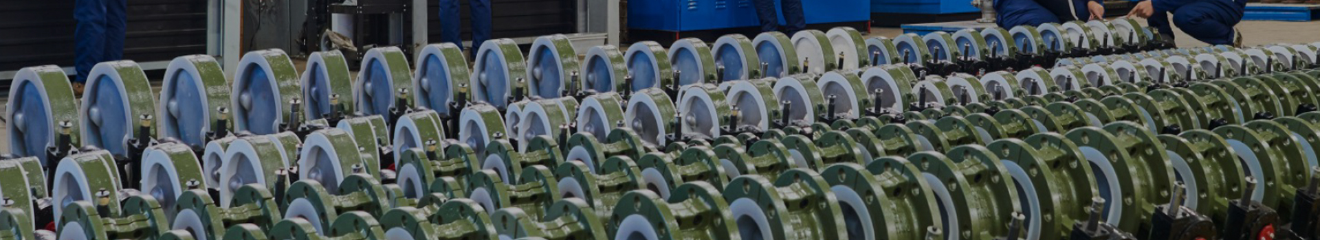 चांगशुई टेक्नोलॉजी ग्रुप कंपनी लिमिटेड