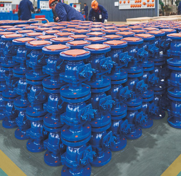 चांगशुई टेक्नोलॉजी ग्रुप कंपनी लिमिटेड