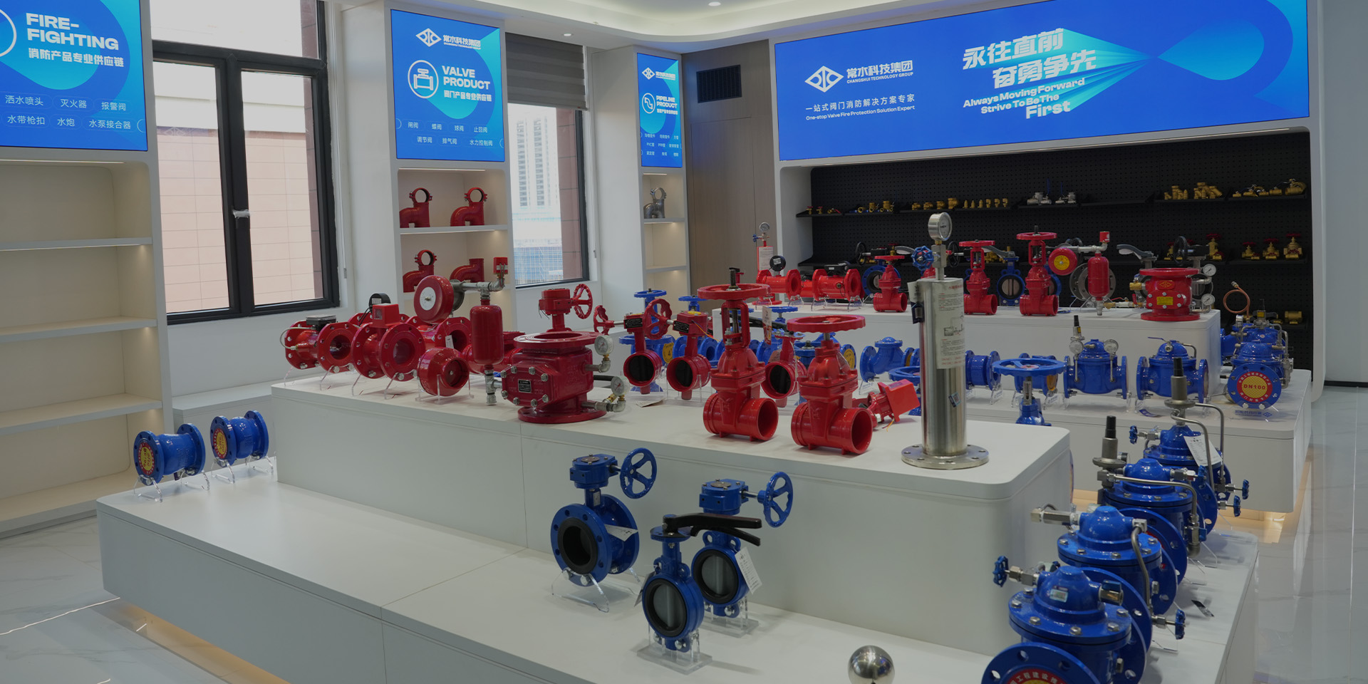 चांगशुई टेक्नोलॉजी ग्रुप कंपनी लिमिटेड